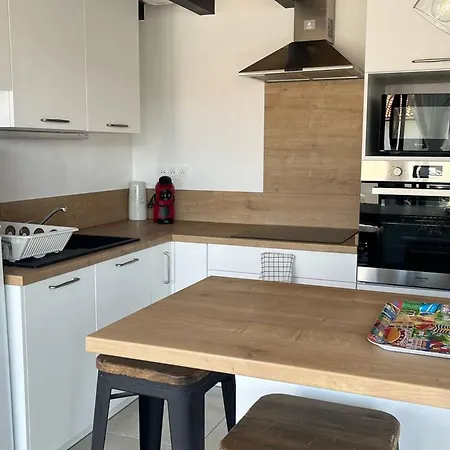 Apartment : T1 Bis Cosy Avec Jardin Et Wifi - Fr-1-495-149