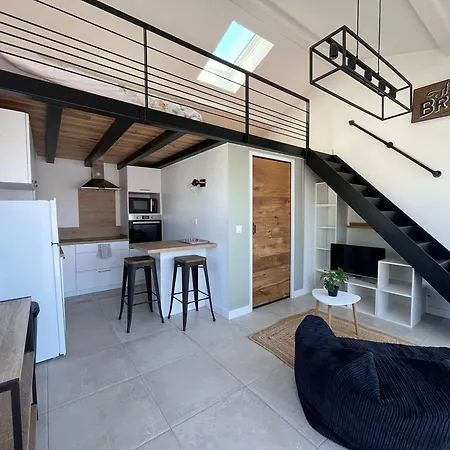 Apartment : T1 Bis Cosy Avec Jardin Et Wifi - Fr-1-495-149 *